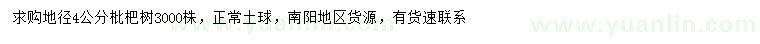 求購(gòu)地徑4公分枇杷