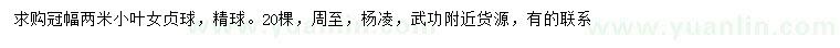 求購冠幅2米小葉女貞球