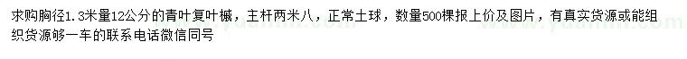 求購胸徑1.3米量12公分青葉復葉槭