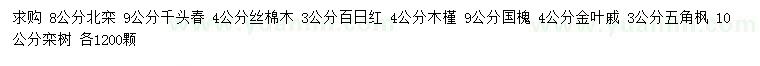 求購北欒、千頭椿、絲棉木等