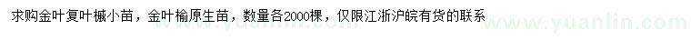 求購金葉復葉槭小苗、金葉榆小苗