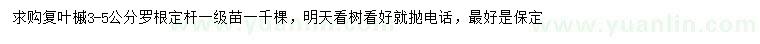 求購3-5公分復葉槭