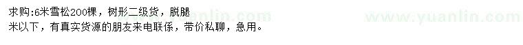 求購6米雪松