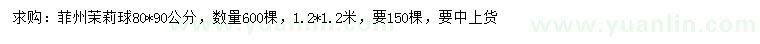 求購80*90、120*120公分菲州茉莉球