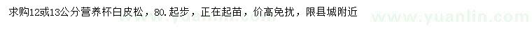 求購12、13公分白皮松