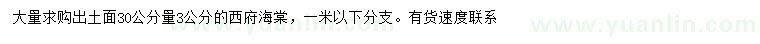 求購30公分量3公分西府海棠