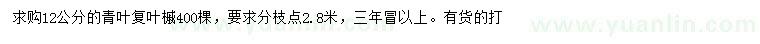 求購(gòu)12公分青葉復(fù)葉槭