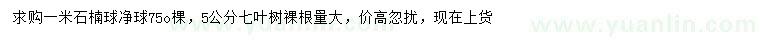 求購(gòu)1米石楠球凈球、5公分七葉樹