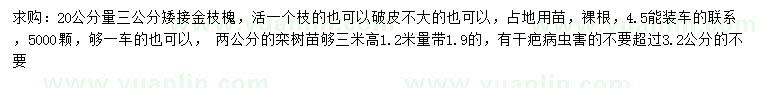 求購(gòu)20公分量3公分矮接金枝槐、2公分欒樹(shù)