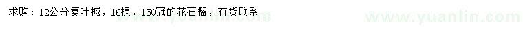 求購12公分復(fù)葉槭、冠幅150公分花石榴