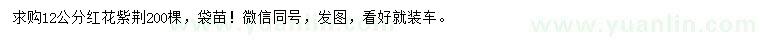 求購12公分紅花紫荊