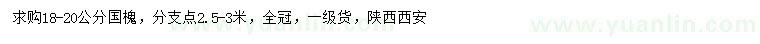 求購18-20公分國槐