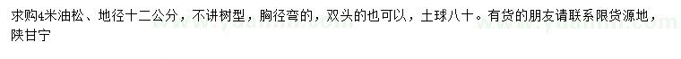 求購地徑12公分油松
