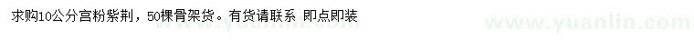 求購10公分宮粉紫荊