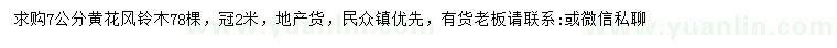 求購(gòu)7公分分黃花風(fēng)鈴木