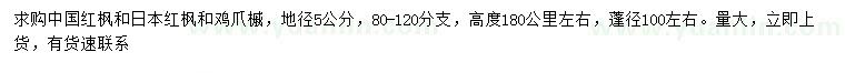 求購(gòu)中國(guó)紅楓、日本紅楓、雞爪槭