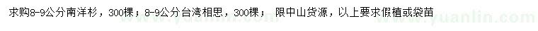 求購8-9公分南洋杉、臺灣相思