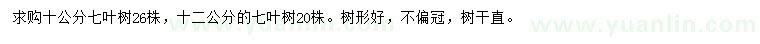 求購10、12公分七葉樹