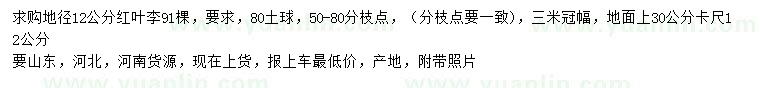 求購地徑12公分紅葉李