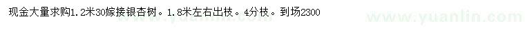求購(gòu)1.2米量30公分嫁接銀杏樹(shù)