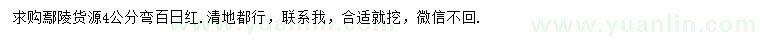 求購4公分彎百日紅