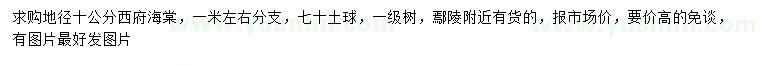 求購地徑10公分西府海棠