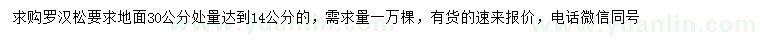 求購30公分量14公分羅漢松