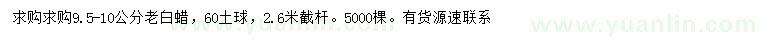 求購9.5-10公分老白蠟