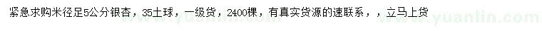 求購米徑足5公分銀杏