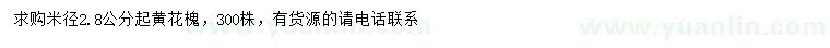 求購米徑2.8公分起黃花槐