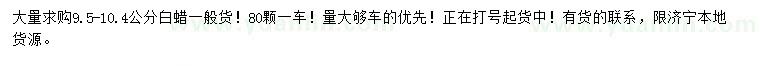 求購9.5-10.4公分白蠟