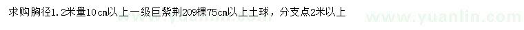 求購胸徑1.2米量10公分以上巨紫荊