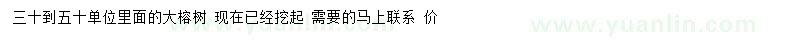 求購(gòu)小葉榕 三十到五十公分二十顆急售 需要的趕緊聯(lián)系
