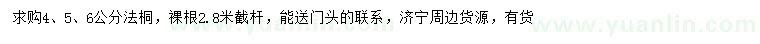 求購4、5、6公分法桐