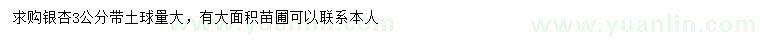 求購3公分銀杏