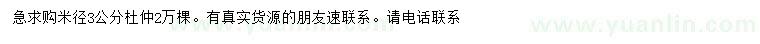 求購米徑3公分杜仲