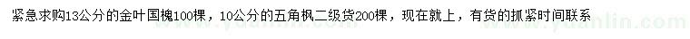 求購13公分金葉國槐、10公分五角楓