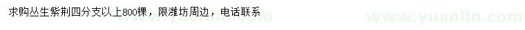 求購叢生紫荊