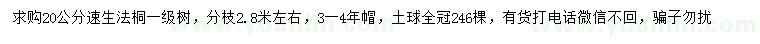求購20公分速生法桐