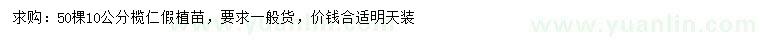 求購10公分欖仁假植苗