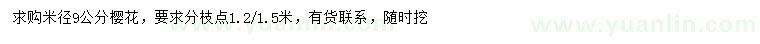 求購米徑9公分櫻花