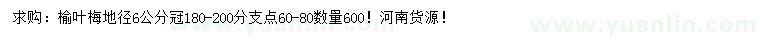 求購(gòu)地徑6公分榆葉梅