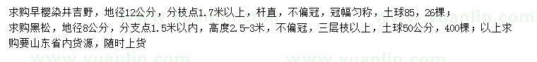 求購(gòu)地徑12公分早櫻染井吉野、8公分黑松