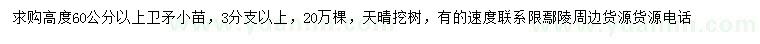 求購高60公分以上衛(wèi)矛小苗