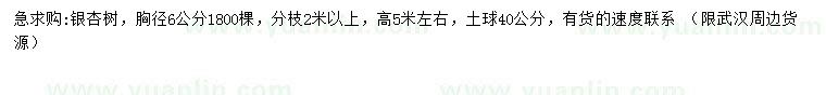 求購(gòu)胸徑6公分銀杏