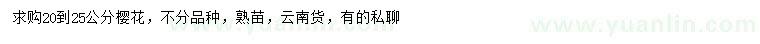 求購20-25公分櫻花