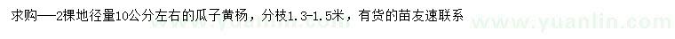 求購地徑量10公分左右瓜子黃楊