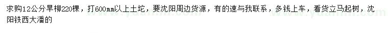 求購12公分旱柳