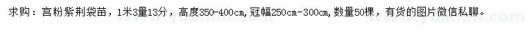 求購1.3米量13公分宮粉紫荊
