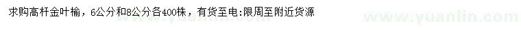 求購(gòu)6、8公分高桿金葉榆